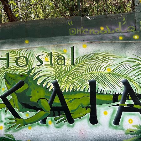 Hostal Kaia 산타마르타 외부 사진