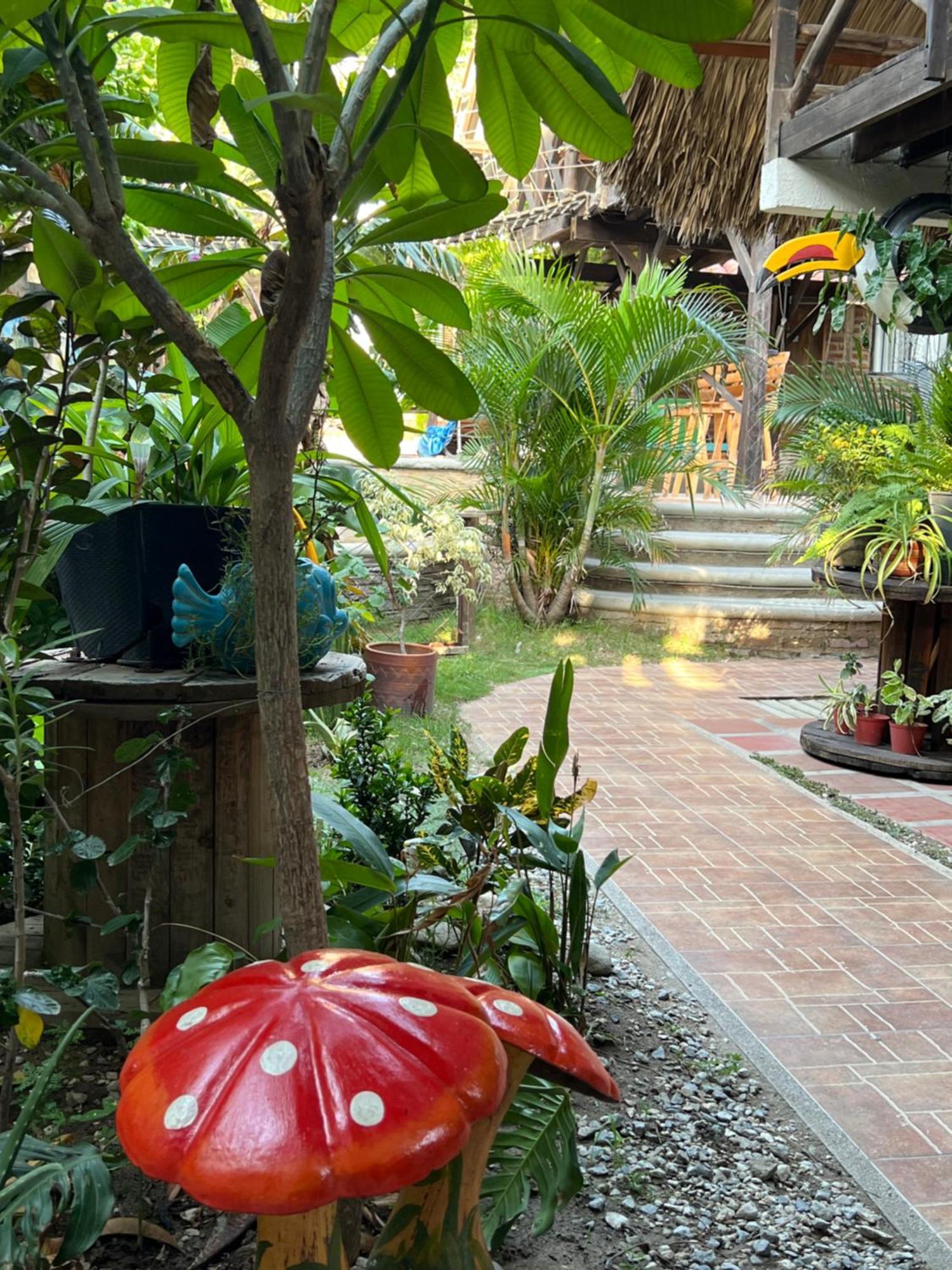 Hostal Kaia 산타마르타 외부 사진