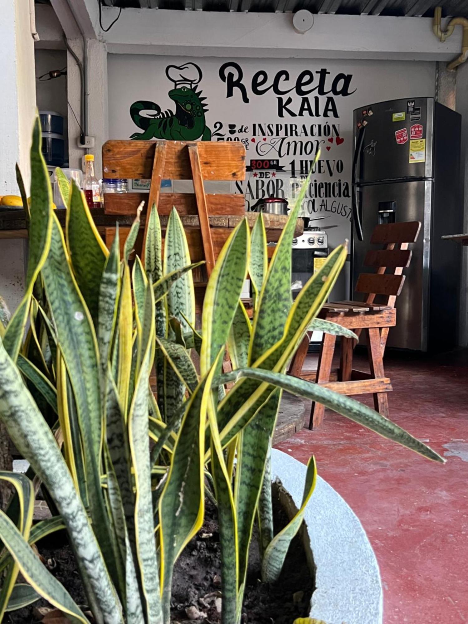 Hostal Kaia 산타마르타 외부 사진